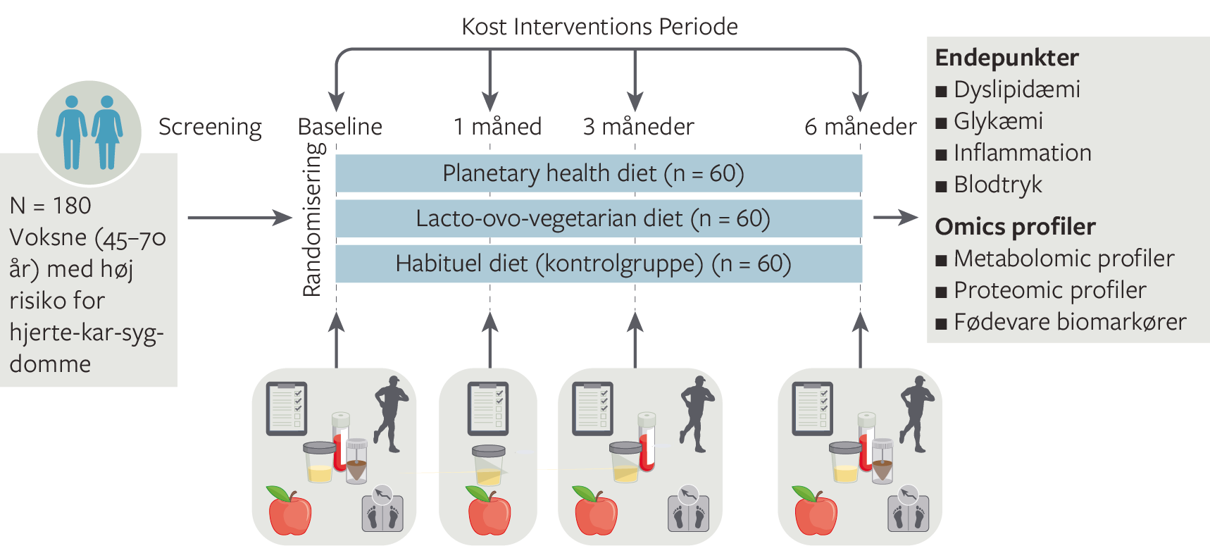 Studiedesign oversigt